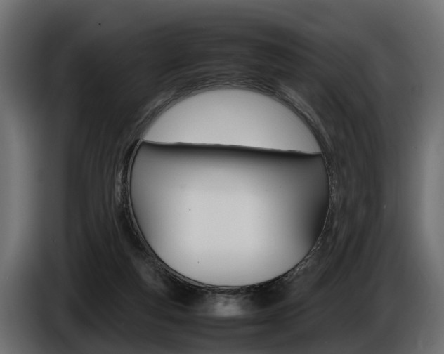 X0000086720163200704130734