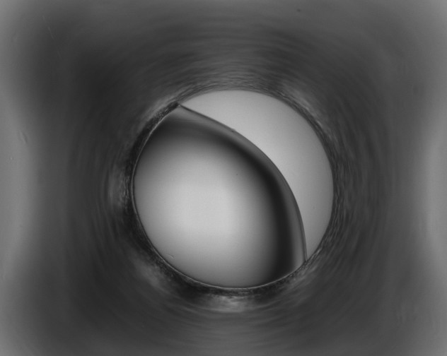 X0000086720164200704130734