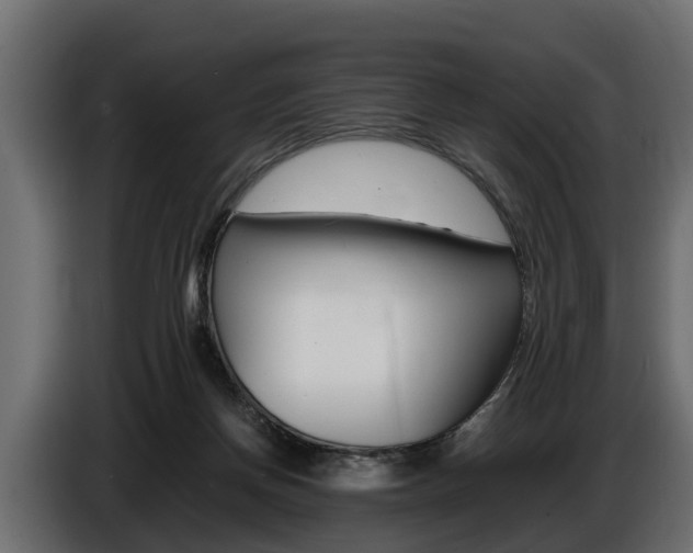 X0000086720166200704130734