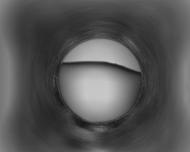 X0000086720169200704130734