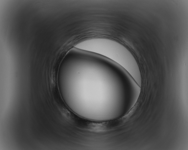 X0000086720170200704130735