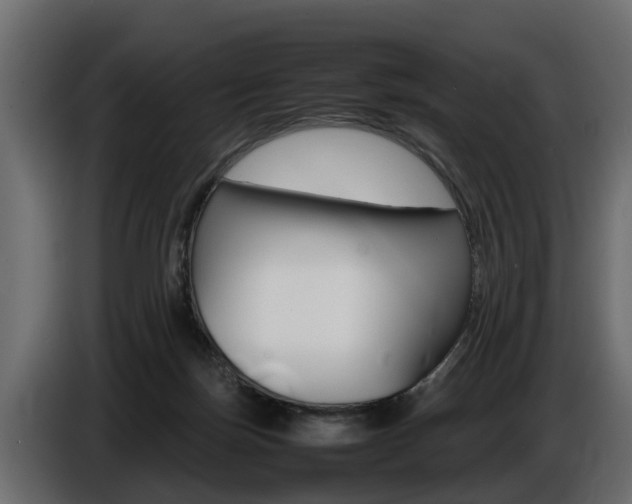 X0000086720171200704130735