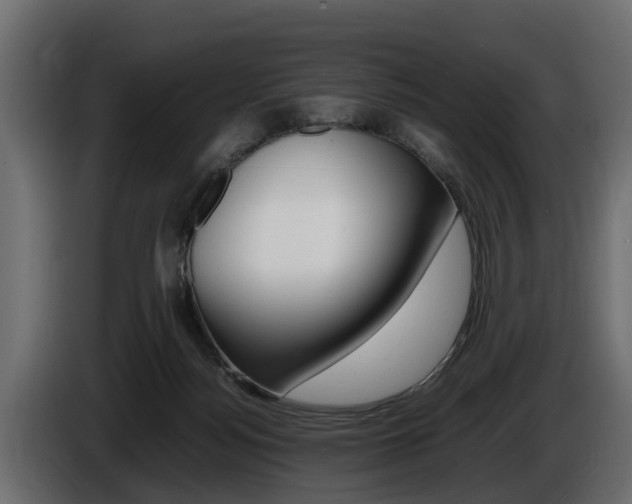 X0000086720172200704130735