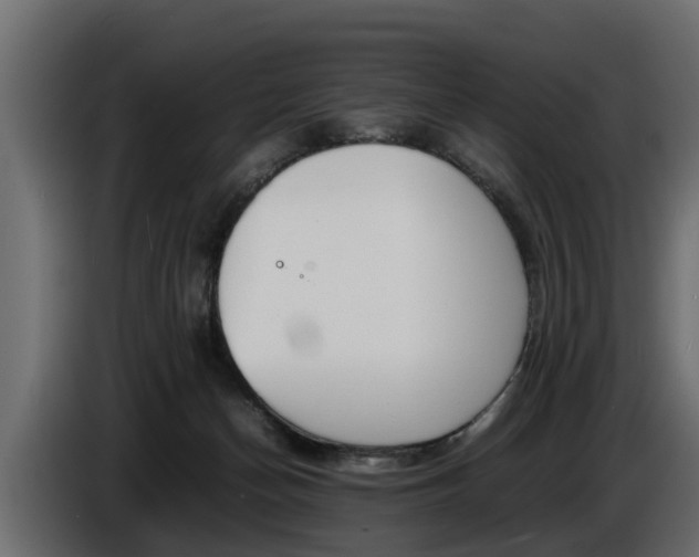 X0000086720174200704130735