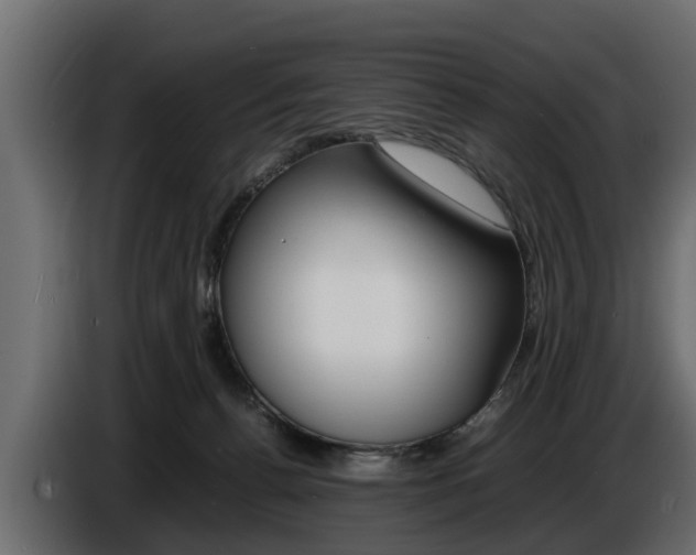 X0000086720176200704130735