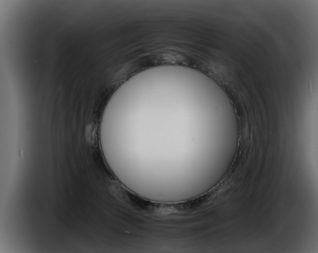 X0000086720177200704130735
