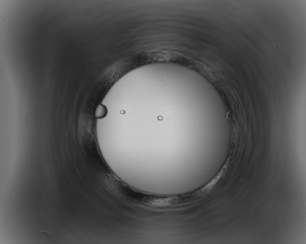 X0000086720178200704130735