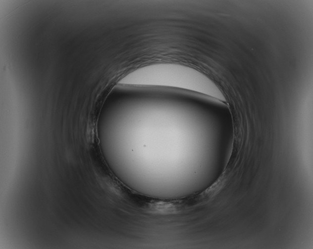 X0000086720180200704130735