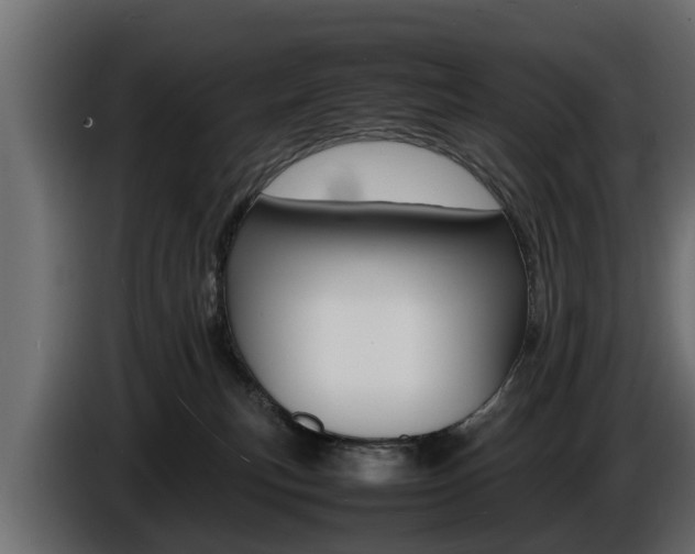 X0000086720183200704130735