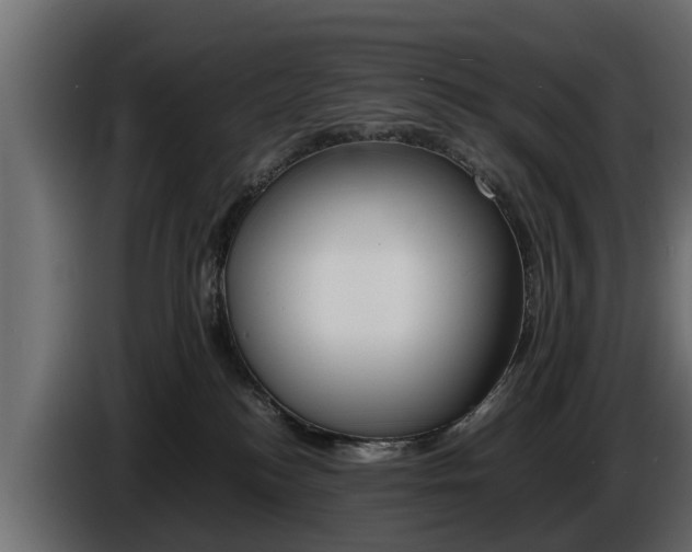 X0000086720184200704130735