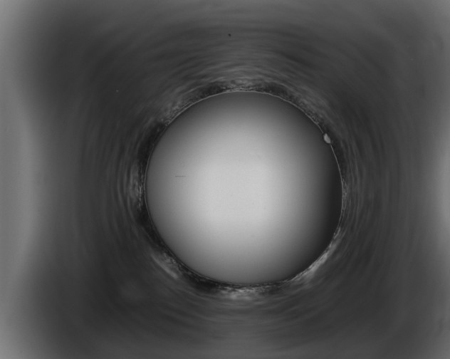 X0000086720186200704130735