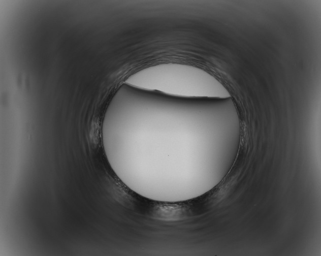 X0000086720189200704130735