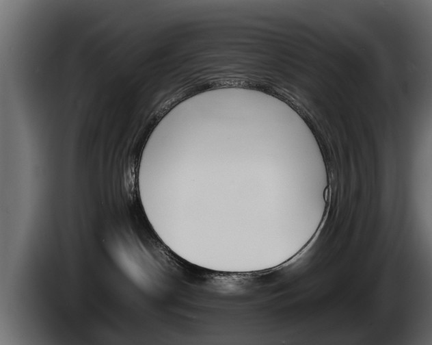 X0000086720190200704130735