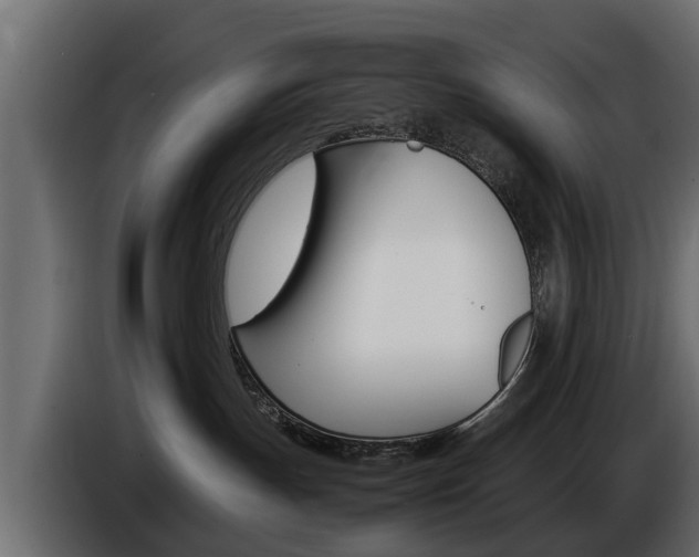 X0000086720191200704130735