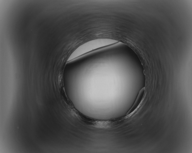 X0000086720192200704130735