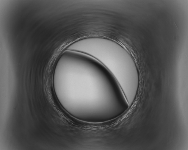 X0000086720193200704130734
