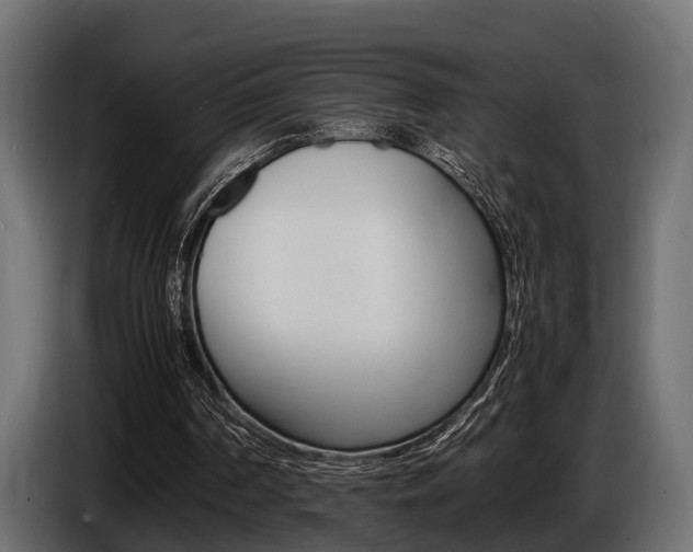 X0000086720194200704130734