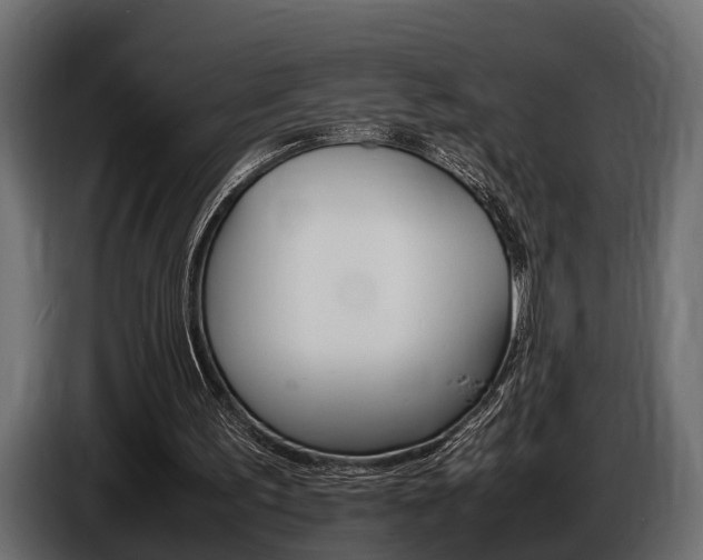 X0000086720195200704130734