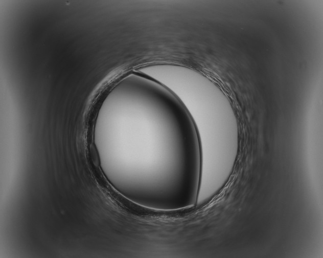 X0000086720197200704130734