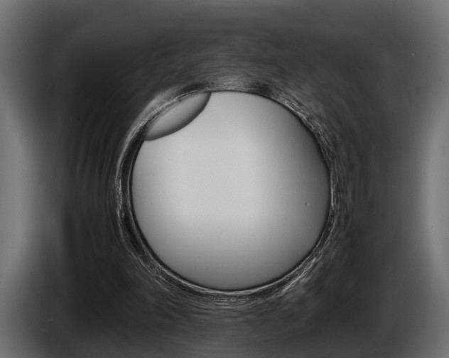 X0000086720198200704130734