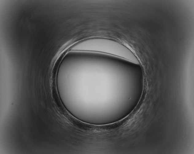 X0000086720199200704130734