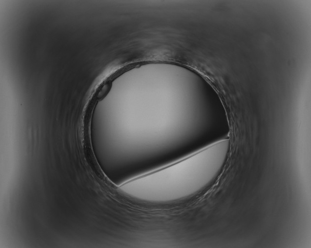 X0000086720200200704130734