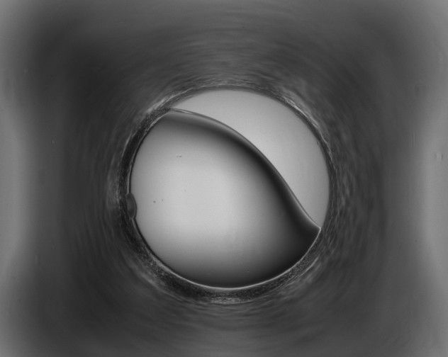 X0000086720203200704130734