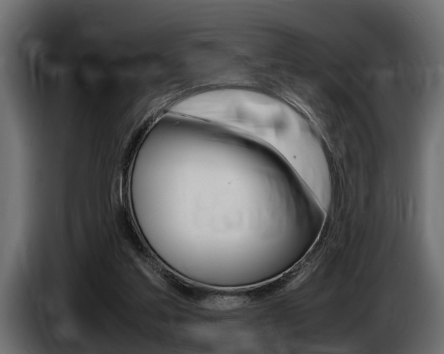 X0000086720205200704130734