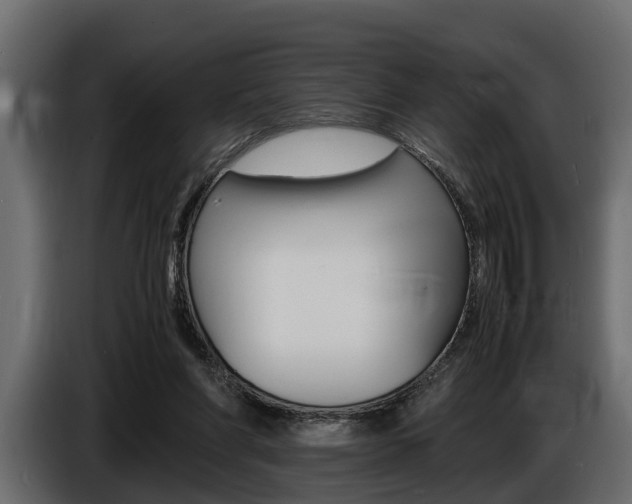 X0000086720206200704130734
