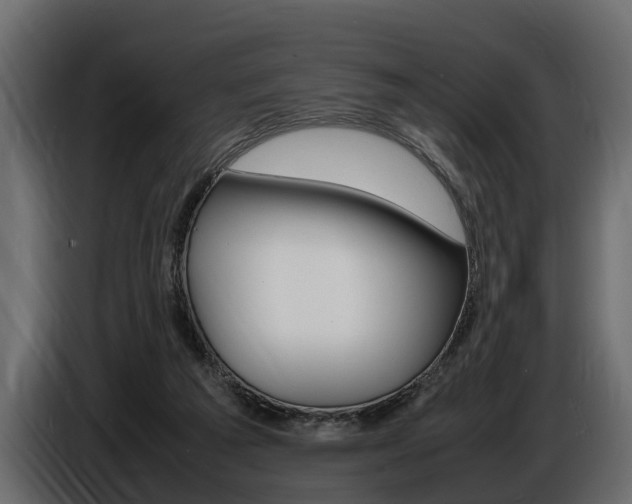 X0000086720209200704130734