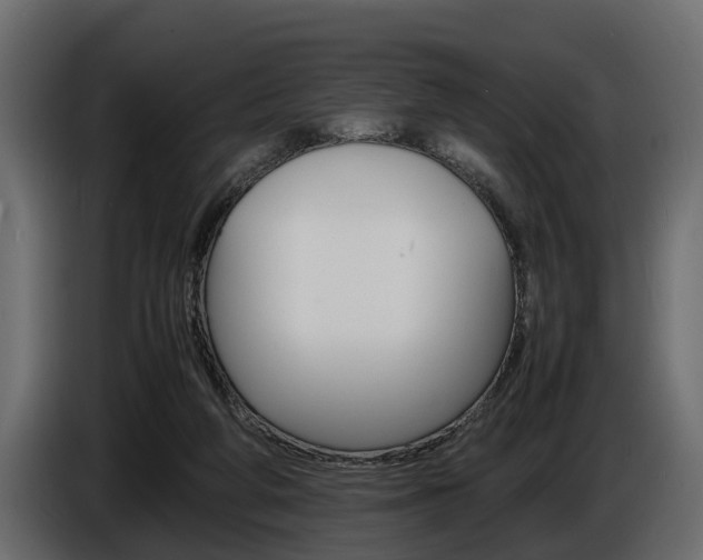 X0000086720210200704130734