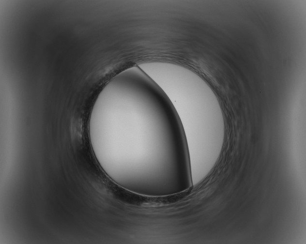 X0000086720211200704130734