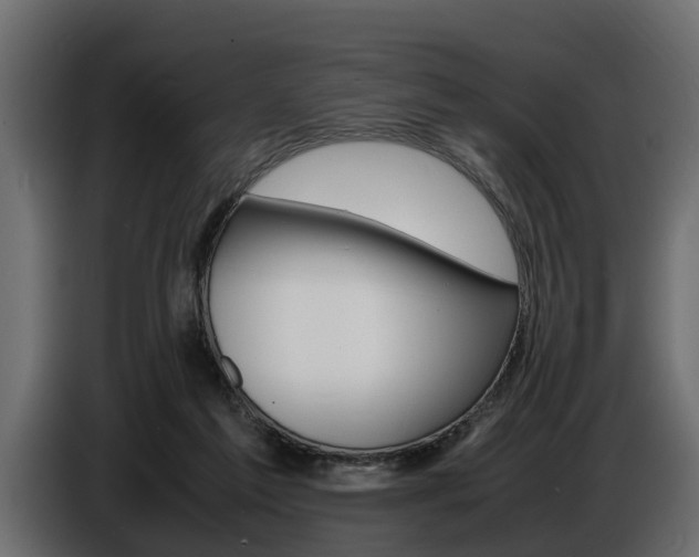 X0000086720213200704130734