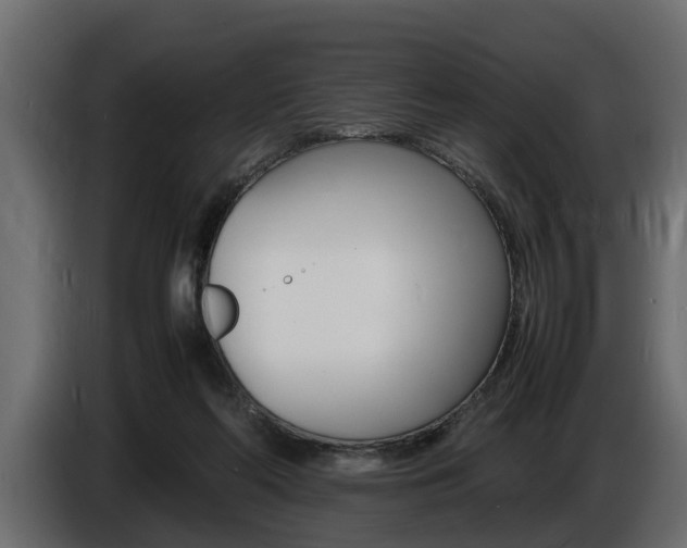 X0000086720214200704130734