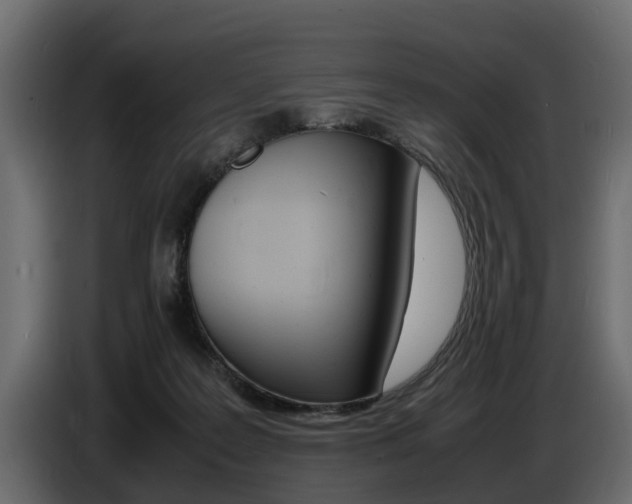 X0000086720219200704130734