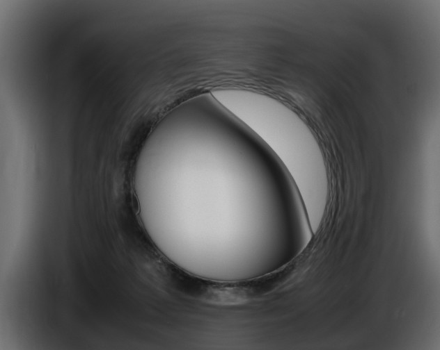 X0000086720221200704130734