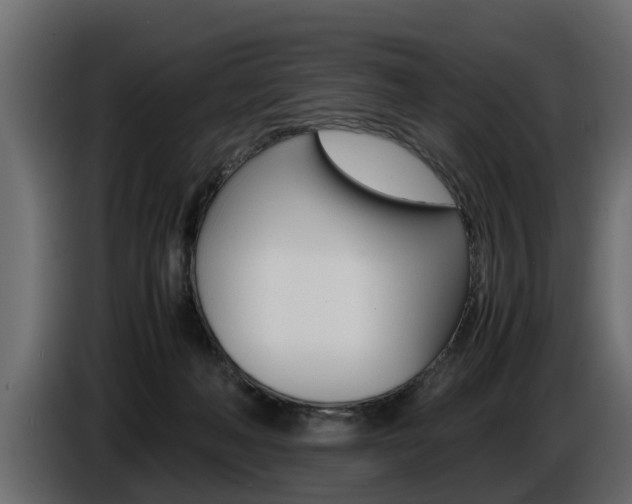 X0000086720222200704130734