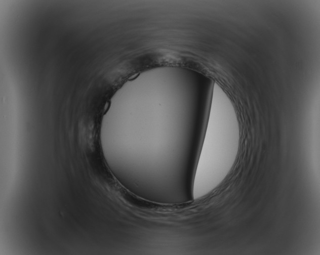X0000086720223200704130734