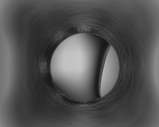 X0000086720224200704130734