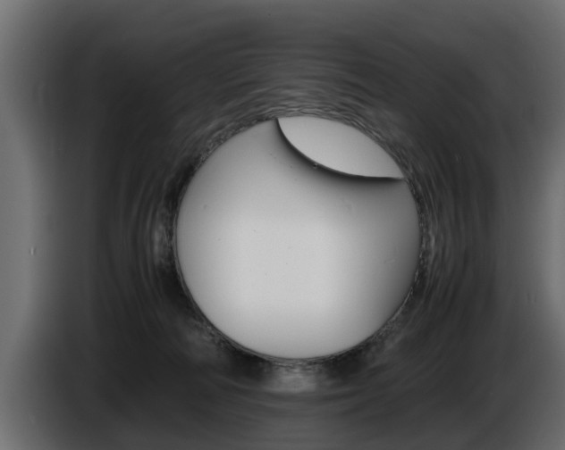 X0000086720226200704130734