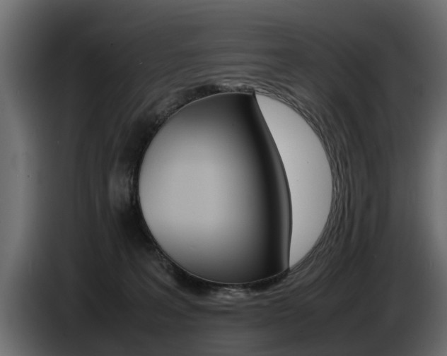 X0000086720227200704130734