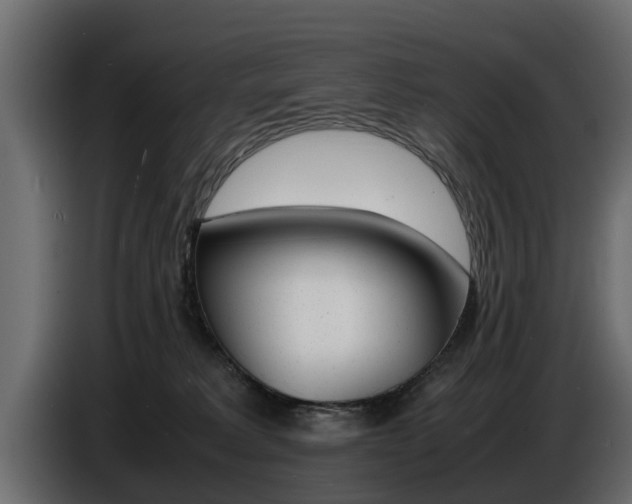X0000086720229200704130734