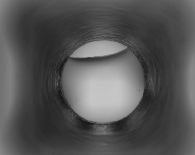 X0000086720230200704130734
