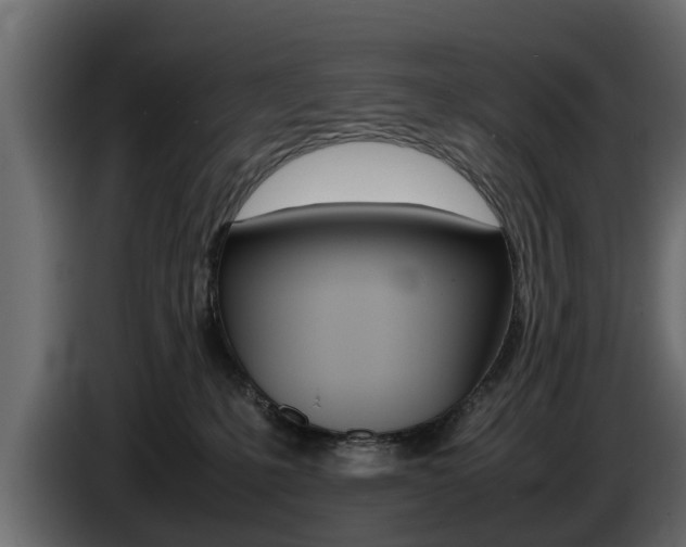 X0000086720231200704130734