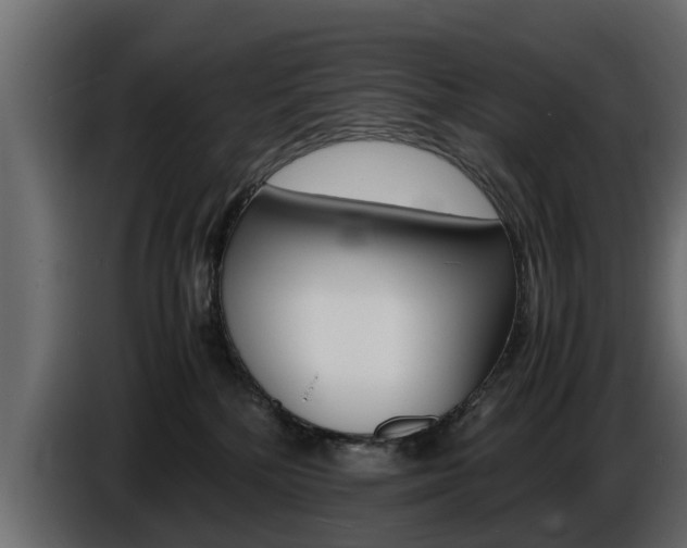 X0000086720232200704130734