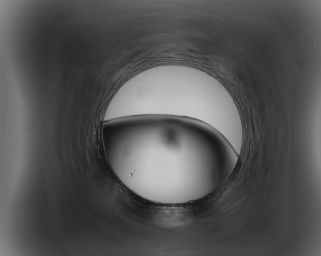 X0000086720233200704130734