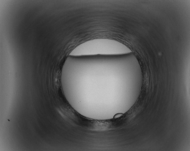 X0000086720234200704130734