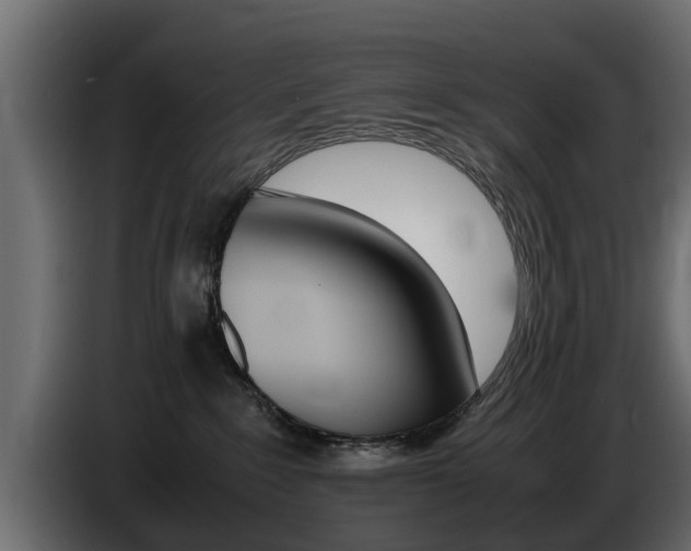 X0000086720235200704130734