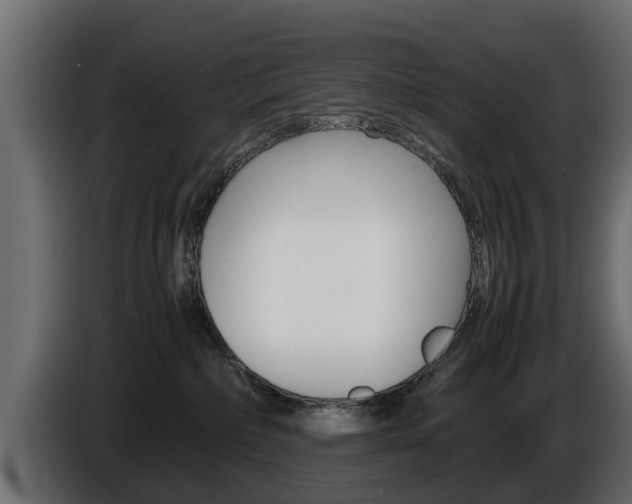 X0000086720236200704130734