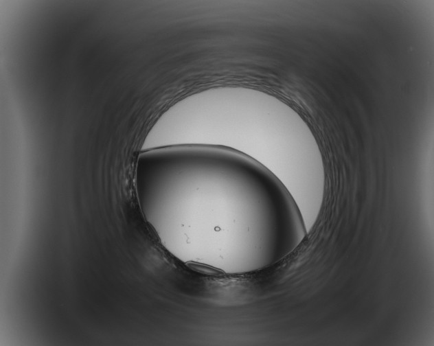 X0000086720237200704130734